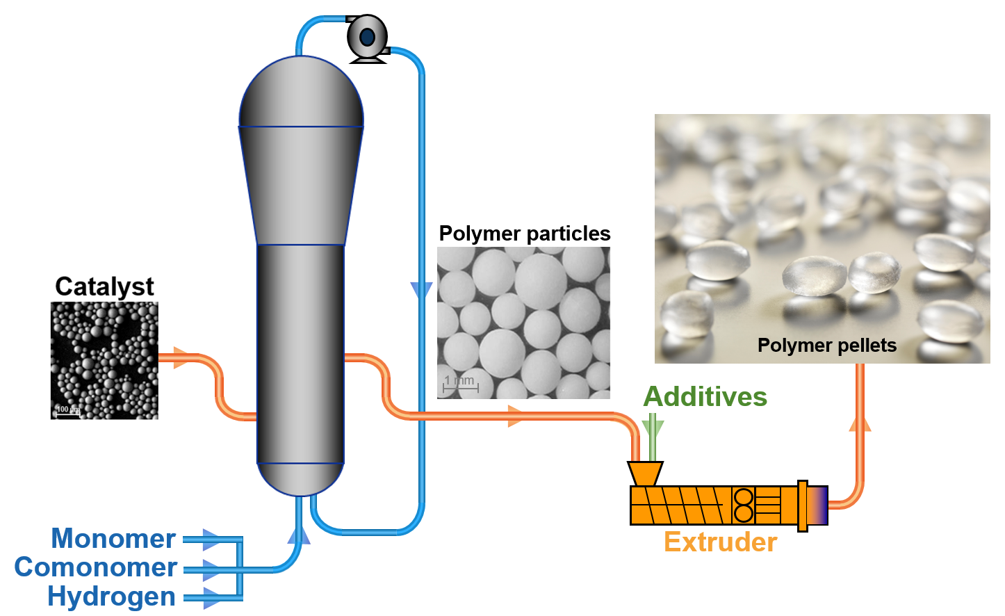 An example of the manufacture of polymers where the catalyst is injected in a reactor containing the monomer and hydrogen under pressure where the polymer particles are formed and removed from the reactor.